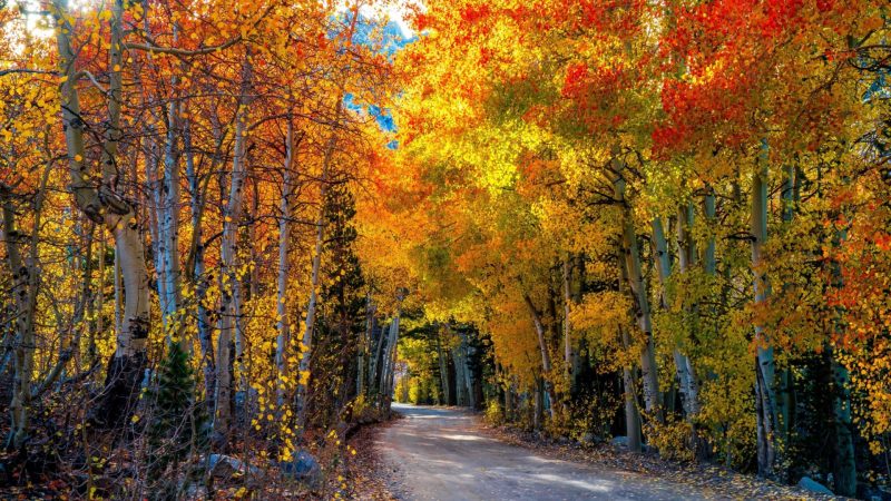 Εορταστικό κλίμα στην KOUVIDIS!